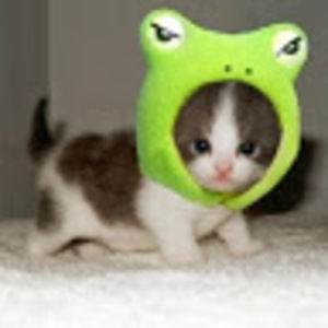 Meet your Posher, Ella